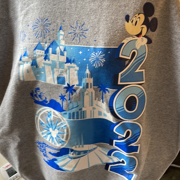 2022 Disneyland Sweatshirt - Picture 3 of 10